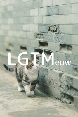 lgtm-cat-image