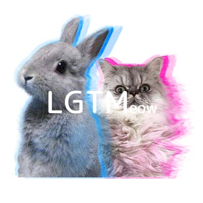 lgtm-cat-image