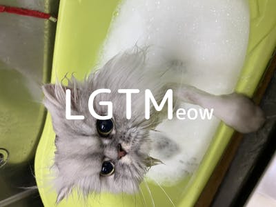 lgtm-cat-image