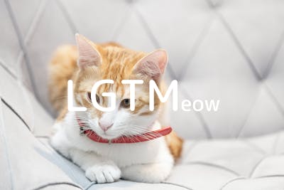 lgtm-cat-image