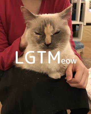 lgtm-cat-image