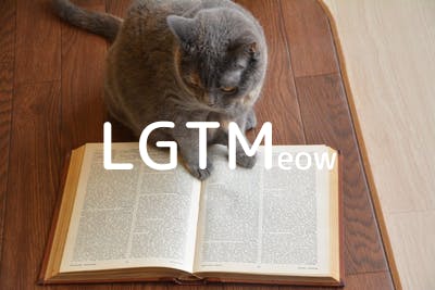 lgtm-cat-image