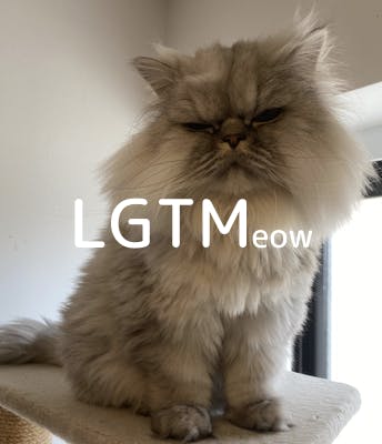 lgtm-cat-image